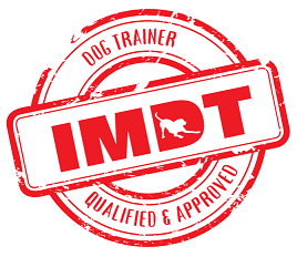 imdt logo