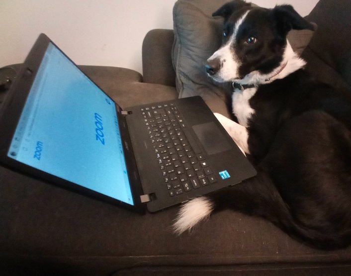 jake working at laptop